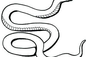 300x200 Snowball Fight Clipart Free Clipart Portal