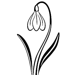 256x256 Cornovium Snowdrops