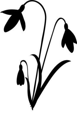 260x380 Download Snowdrop Clipart Snowdrop Clip Art