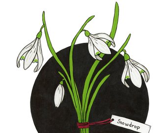 340x270 Snowdrop Drawing Etsy