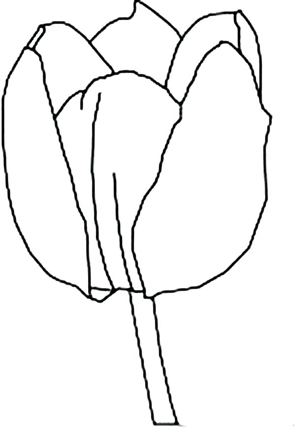 600x876 Snowdrops Colouring Pages