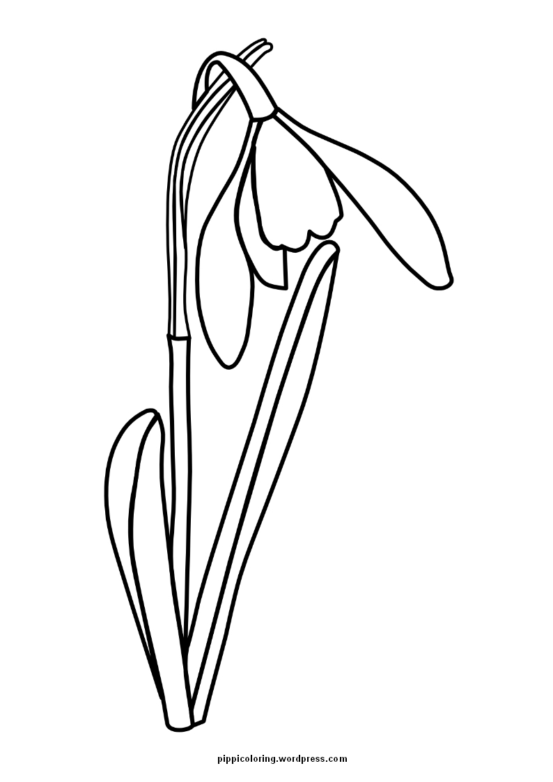 794x1123 Snowdrop Pippi's Coloring Pages