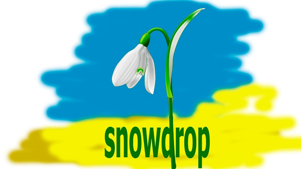 1280x720 how to draw a snowdrop flower, draw spring flowers