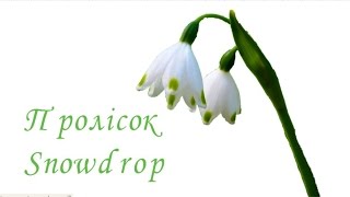 320x180 how to draw a snowdrop flower draw spring flowers youtubekids