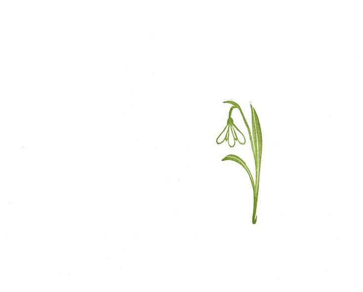735x592 snowdrop gladiolus tattoo ideas and designs