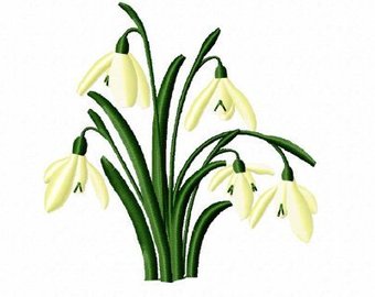 340x270 snowdrop etsy