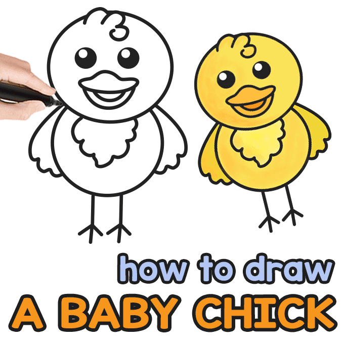680x680 How To Draw A Baby Chick Step