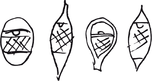 507x272 Pisitimmariit