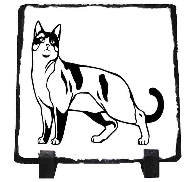 640x630 Snowshoe Cat Black White Stone Picture