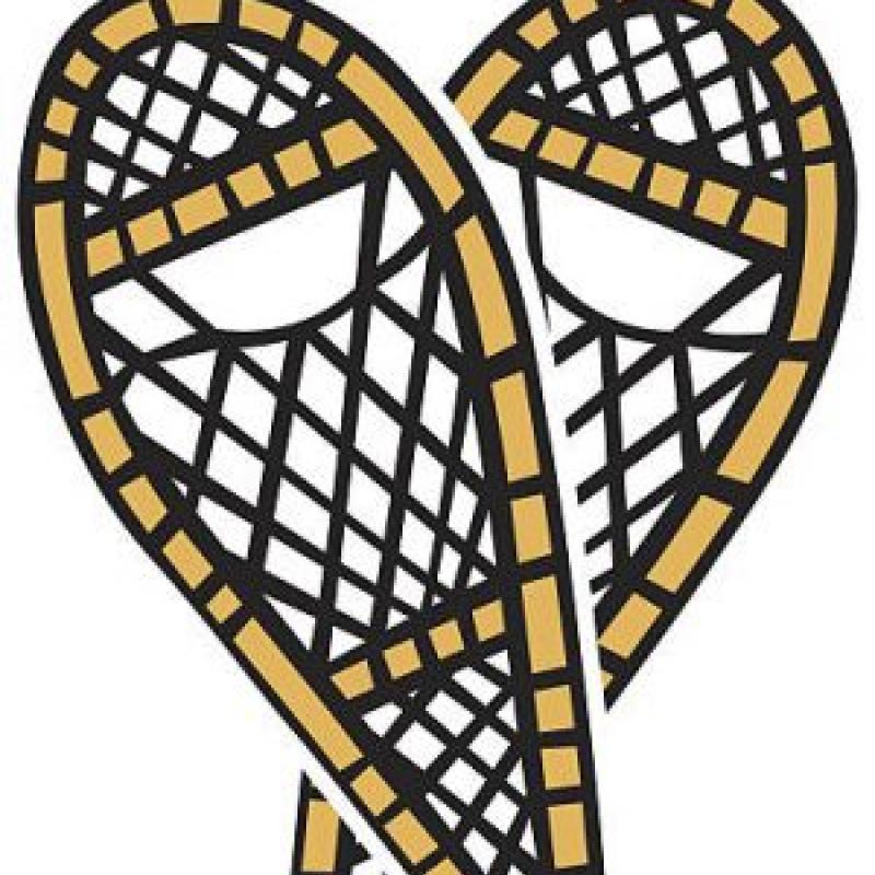 800x800 full moon snowshoe hike restaurant crawl lake george, ny