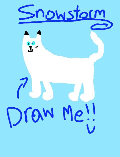 480x623 Warriors Drawing Contest