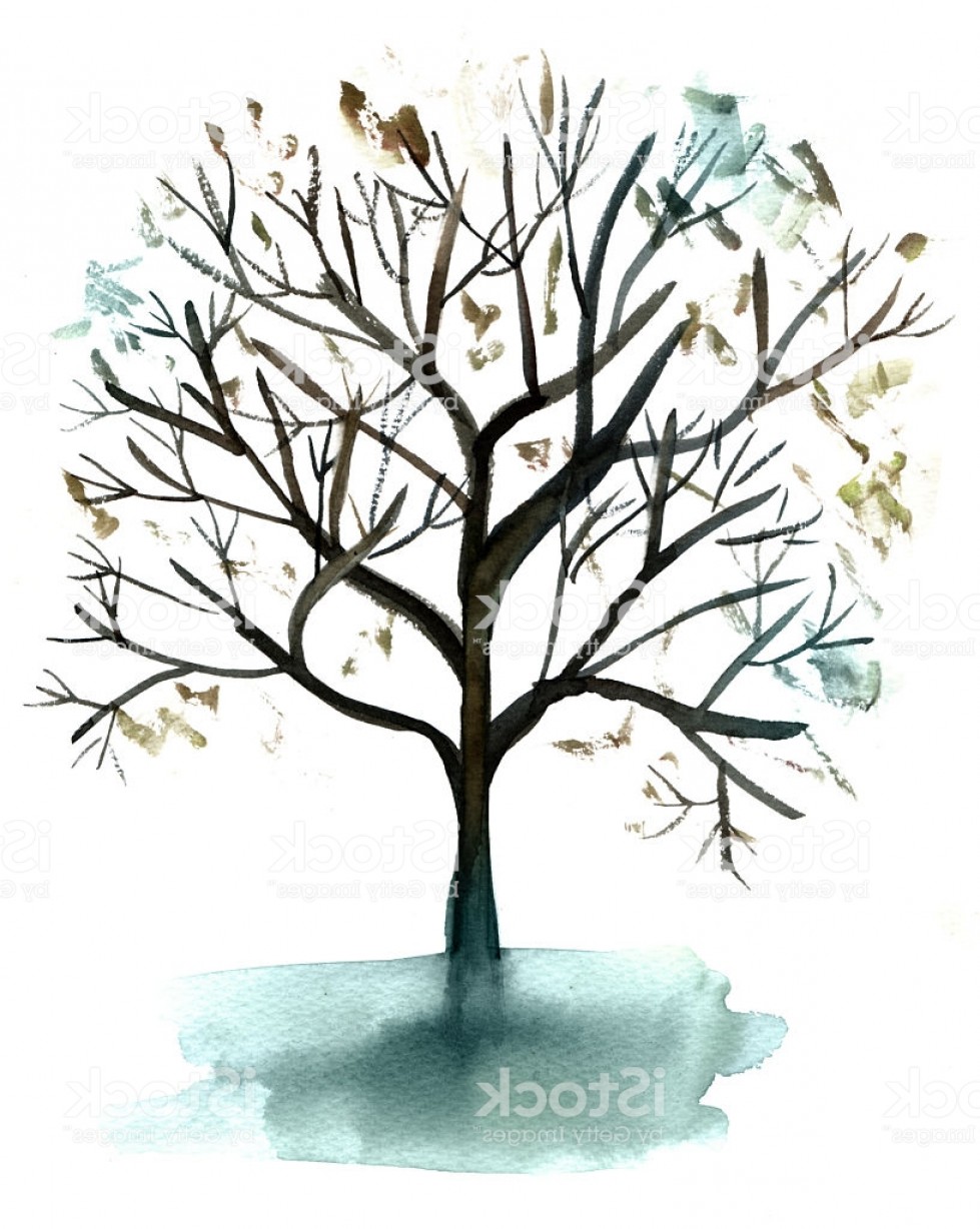 979x1228 Watercolor Winter Tree Vector Soidergi