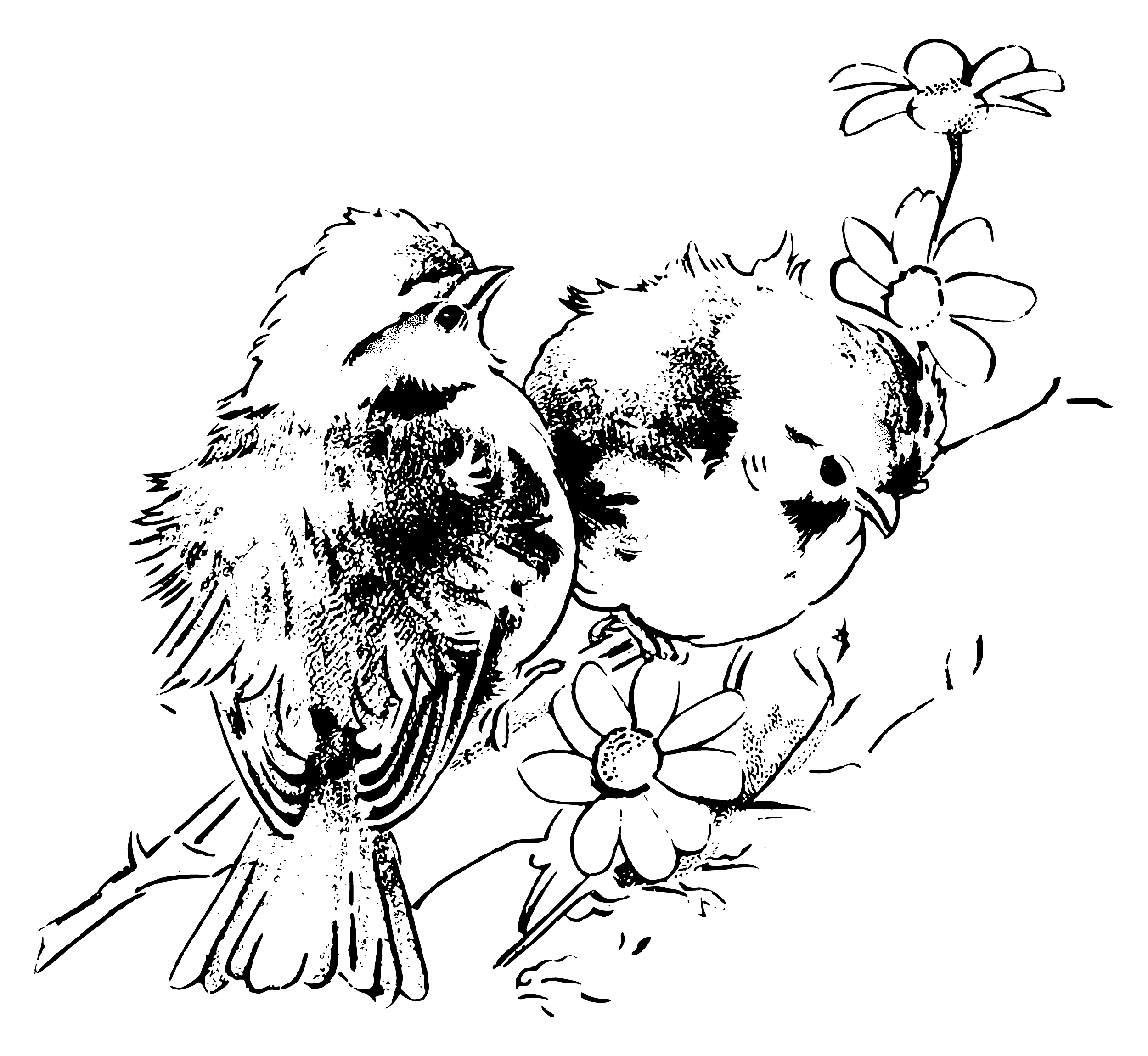 2500x2300 Collection Of Free Chickadee Drawing Winter Landscape Download