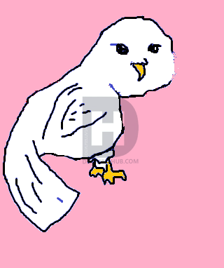 320x382 How To Draw A Snowy Owl, Step