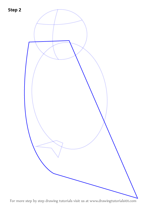 597x844 Learn How To Draw A Snowy Owl