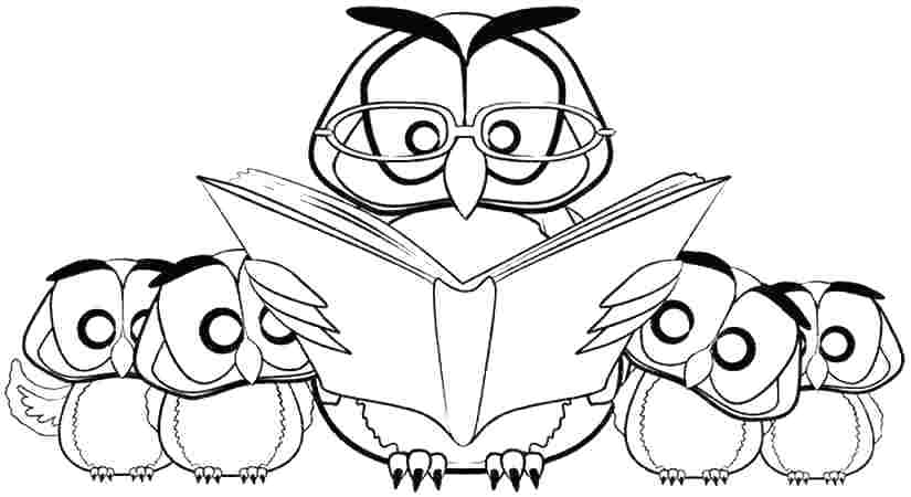 825x450 Owl Pictures To Color Owl Pictures To Color With Owl Color