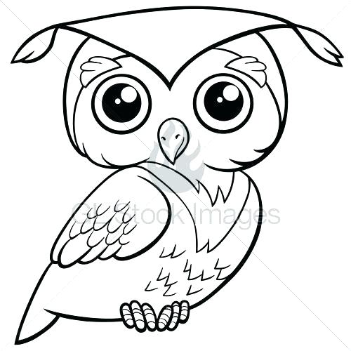 500x500 Snowy Owl Coloring