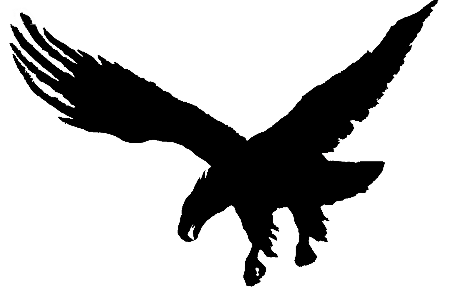 1600x981 Soaring Eagle Png Black And White Free Soaring Eagle Black