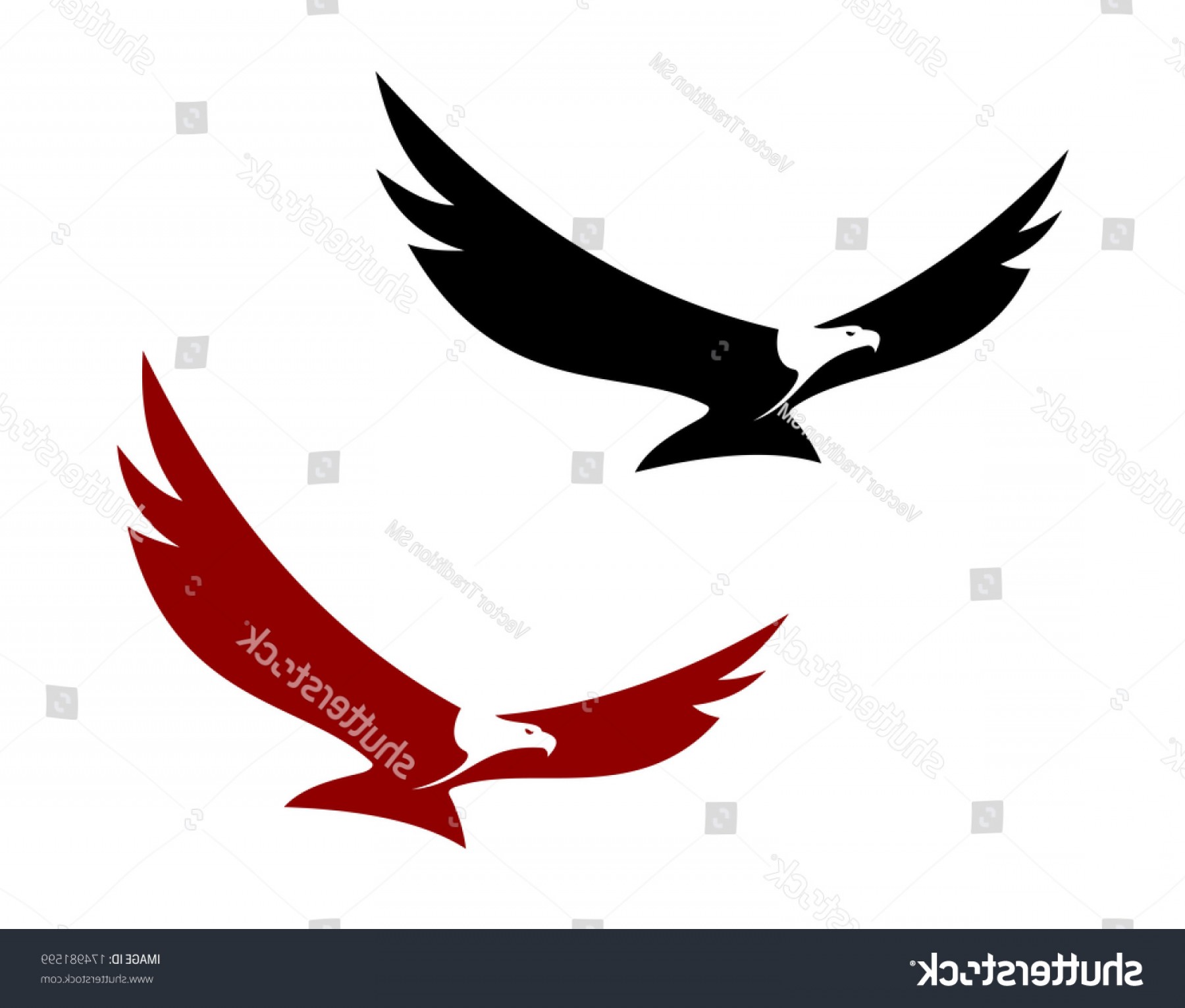 1800x1531 Soaring Eagle Vector Art Orangiausa