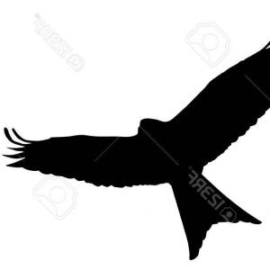 300x300 Stock Illustration Realistic Eagle Soaring Eagle Catching