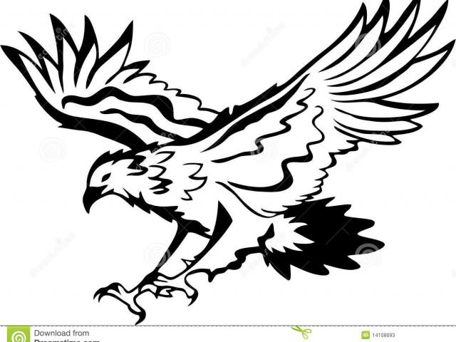 640x480 Clipart Wallpaper Blink