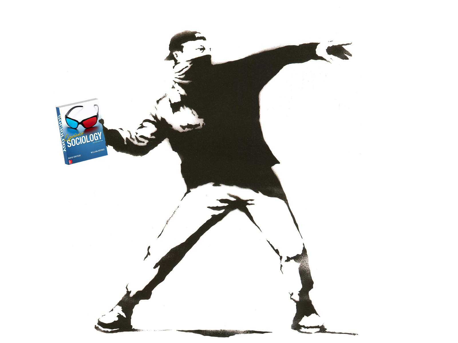 1600x1200 experience sociology david croteau