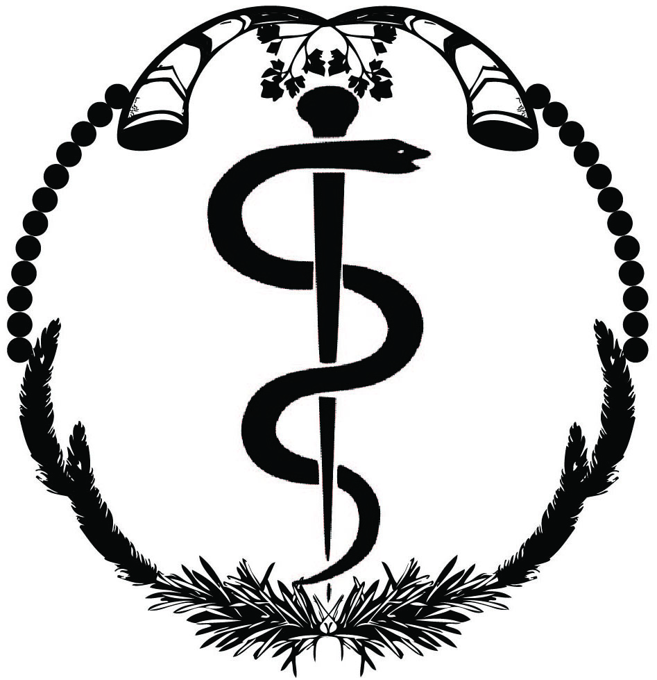 947x979 medical anthropology sociology society