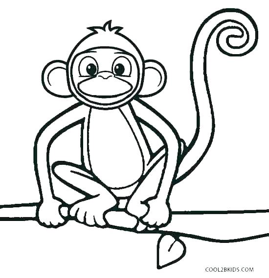 550x570 Monkey Color