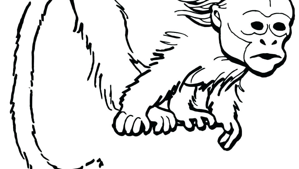 Sock Monkey Drawing Free download on ClipArtMag