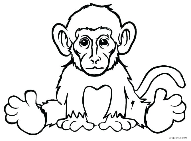 670x494 Sock Monkey Coloring Pages Free Monkey Coloring Pages Realistic
