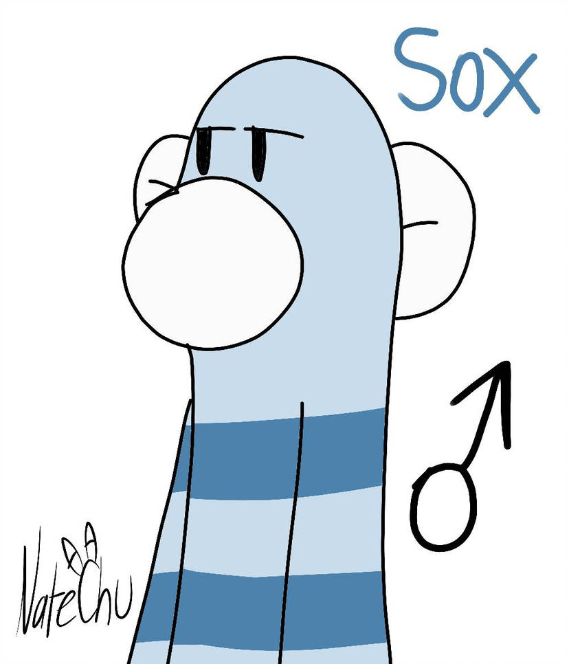 828x966 sox the sock monkey