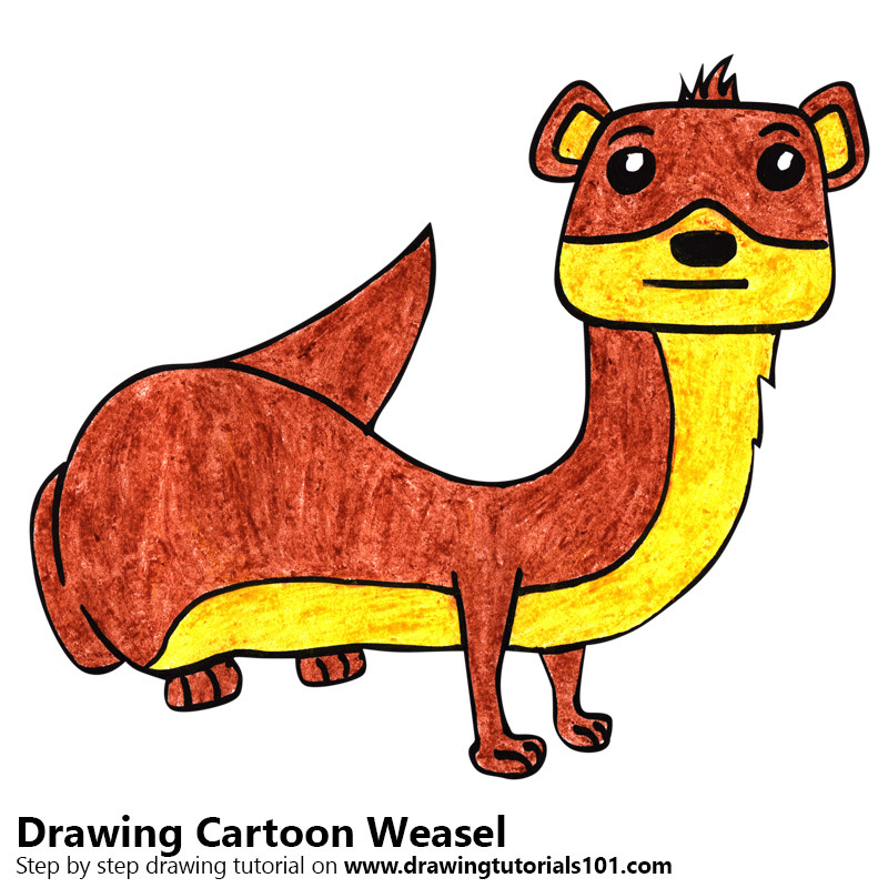 800x800 Cartoon Weasel