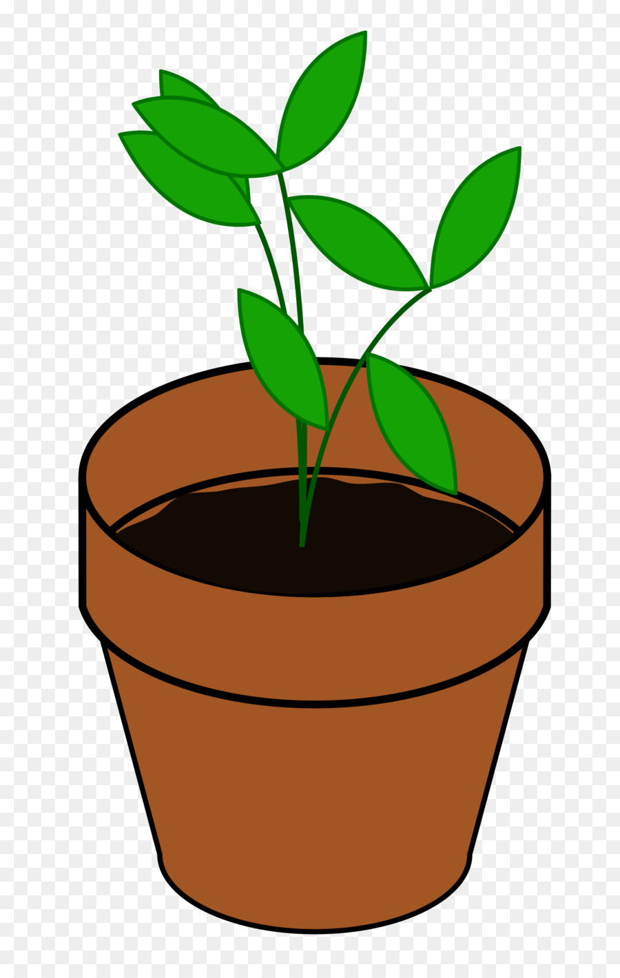 900x1420 Drawing, Plants, Flower, Transparent Png Image Clipart Free Download