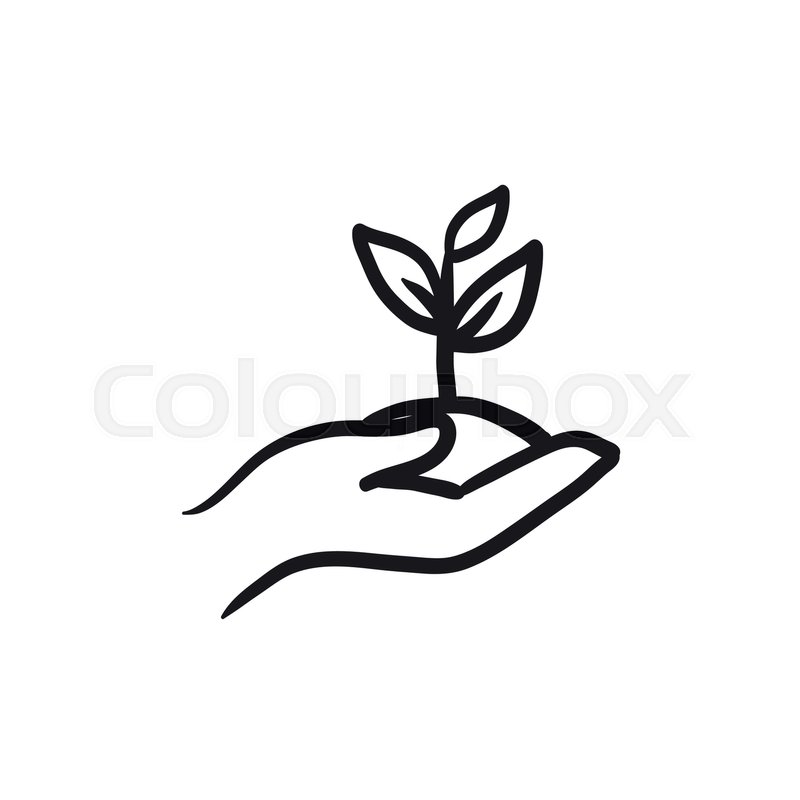 800x800 Hands Holding Seedling In Soil Vector Stock Vector Colourbox