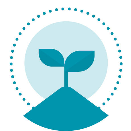 460x460 Hayka Global