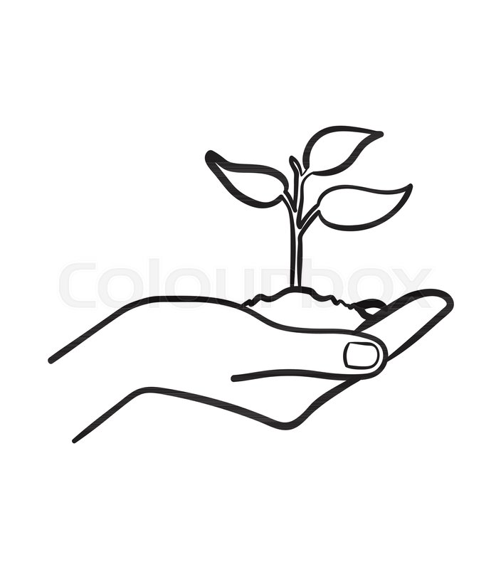 704x800 Human Hand Holding Handful Of Soil Stock Vector Colourbox