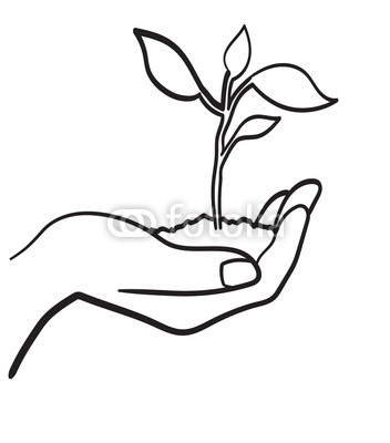 352x400 Human Hand Holding Handful Of Soil With Young Sprout Sketch Icon