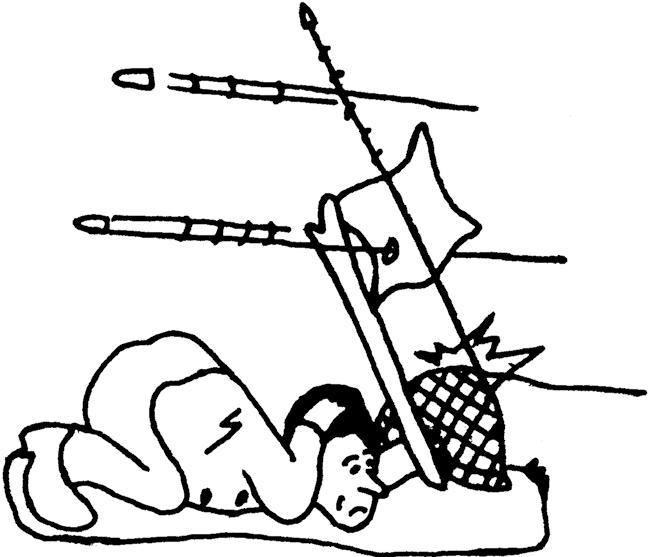 648x557 Soil Horizons