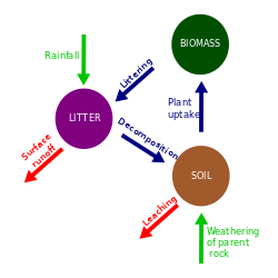 250x250 Collection Of Free Ecosystem Drawing Soil Download On Ui Ex