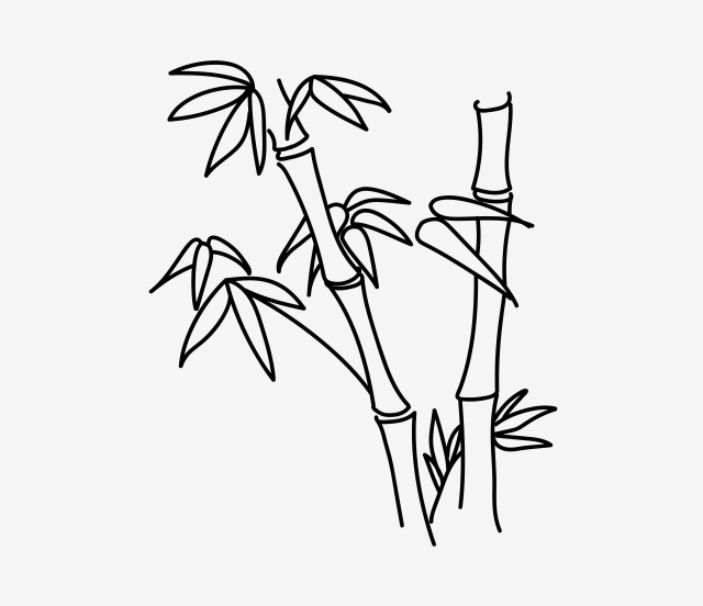 640x552 Format Cartoon Bamboo Solar Terms, Line Drawing, Line Draft