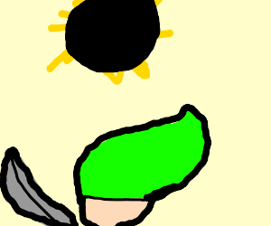 300x250 Solar Eclipse