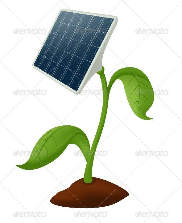 590x724 Plant Solar Battery Drawing In Solar Energy, Energy