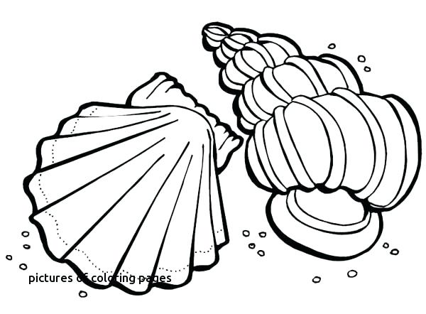 600x442 Planets In Our Solar System Coloring Pages Of Animal Planet
