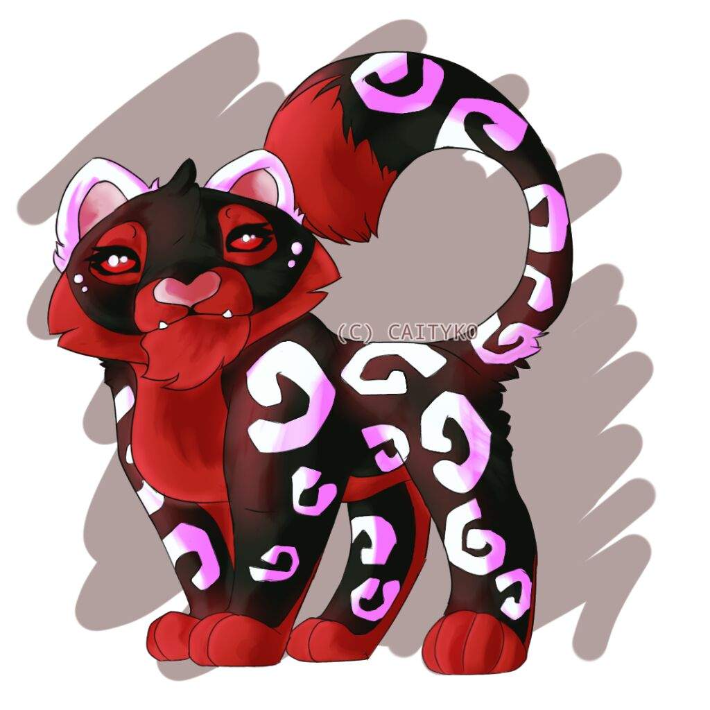 1024x1024 Solitaire, The Queen Of Hearts Aj Amino Amino