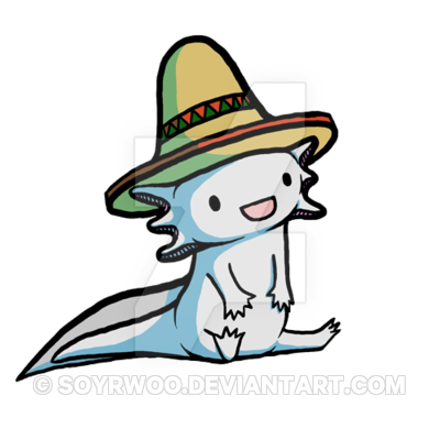 400x400 Naloa Axolotl Con Un Sombrero