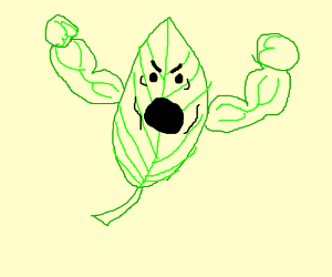 300x250 Weed Of The Sea Song