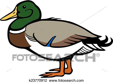450x333 Mallard Clipart Drawing
