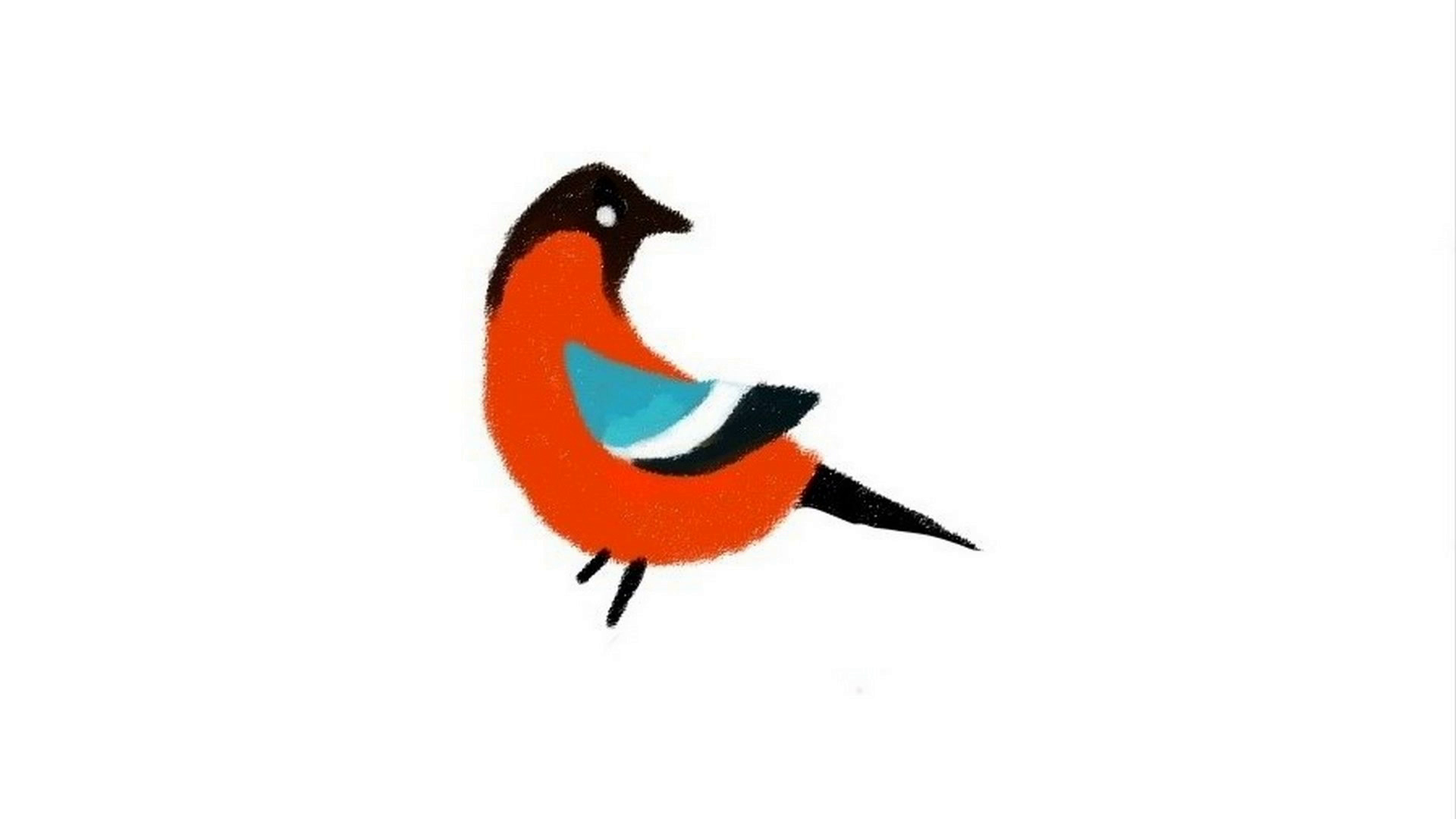 1920x1080 Process Of Drawing Of A Bird Bullfinch Christmas Drawing Motion