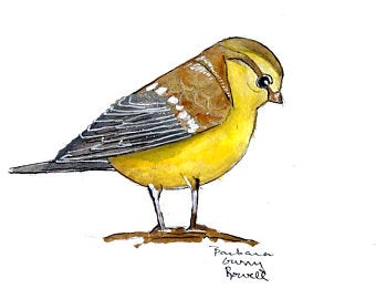 340x270 songbird wall art etsy