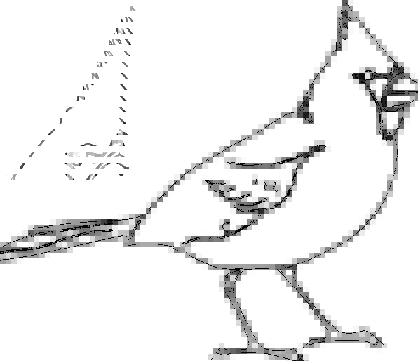 596x514 bird, fowl, basic, songbird, cardinal, drawing, beak, bill